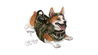 Please, Let This Be Call Of Duty Dog's First DLC